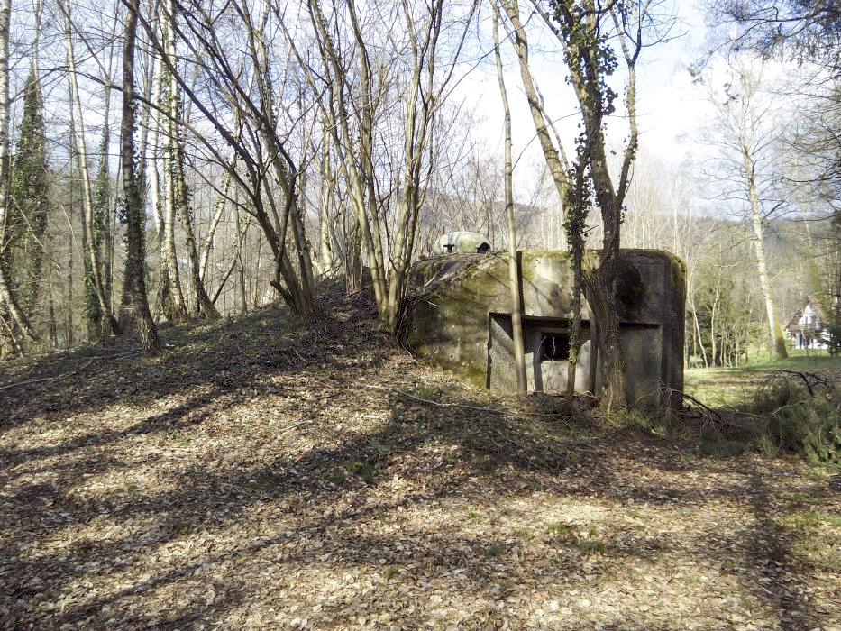 Ligne Maginot - NAGELSTHAL - (Blockhaus pour arme infanterie) - Vue sur la chambre de tir sud - donceuh