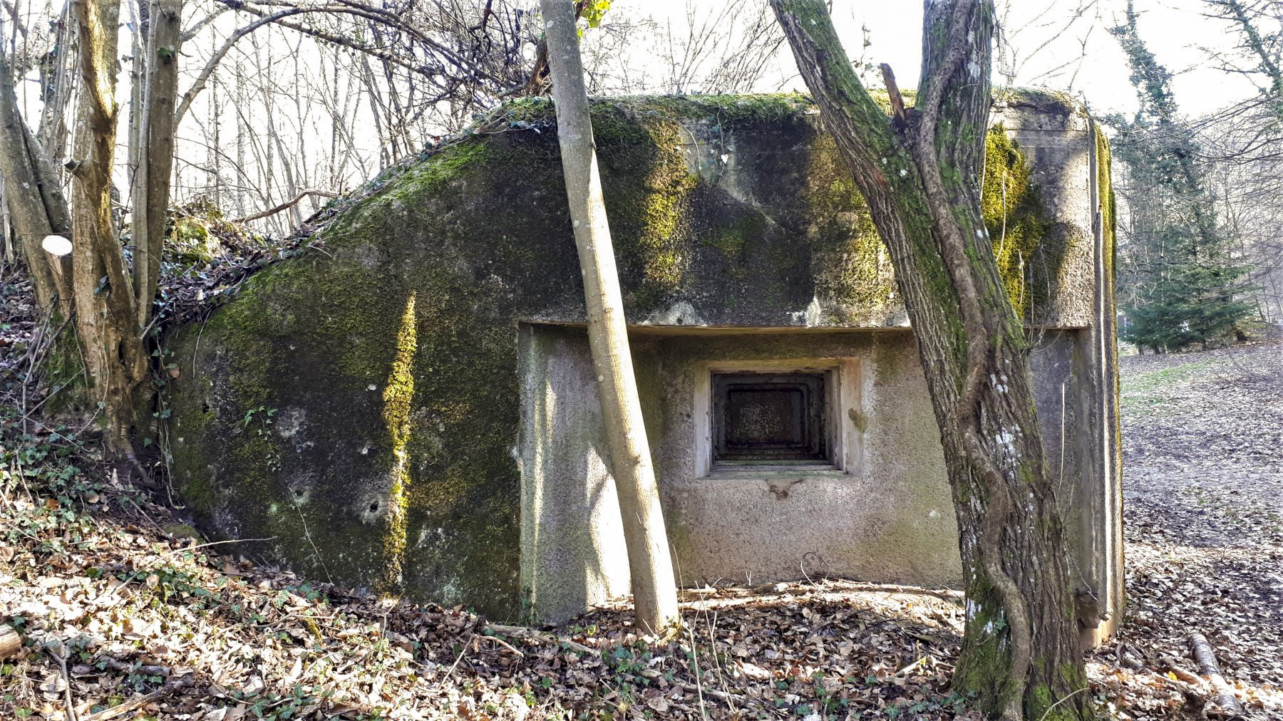 Ligne Maginot - NAGELSTHAL - (Blockhaus pour arme infanterie) - Chambre de tir sud - Gregory Fuchs