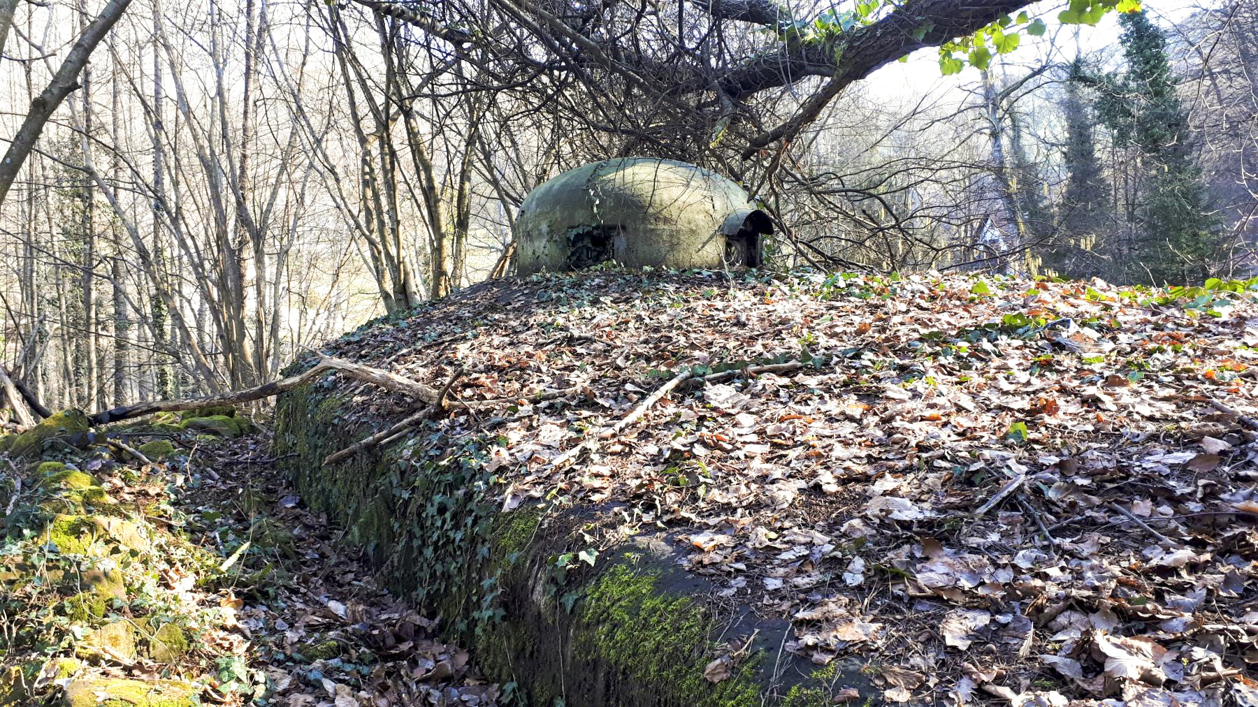 Ligne Maginot - NAGELSTHAL - (Blockhaus pour arme infanterie) - Cloche GFM - Gregory Fuchs