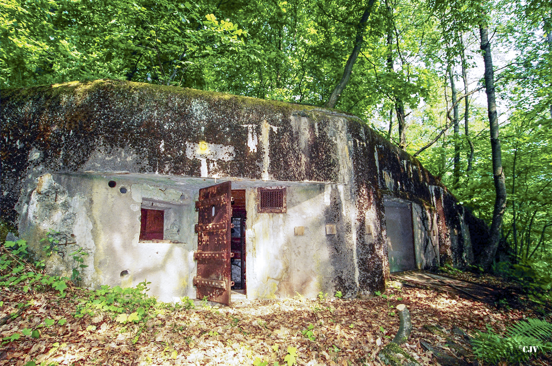 Ligne Maginot - GUNSTHAL FERME OUEST - (Blockhaus pour arme infanterie) - Vue sur l'entrée - Lia VERMEULEN