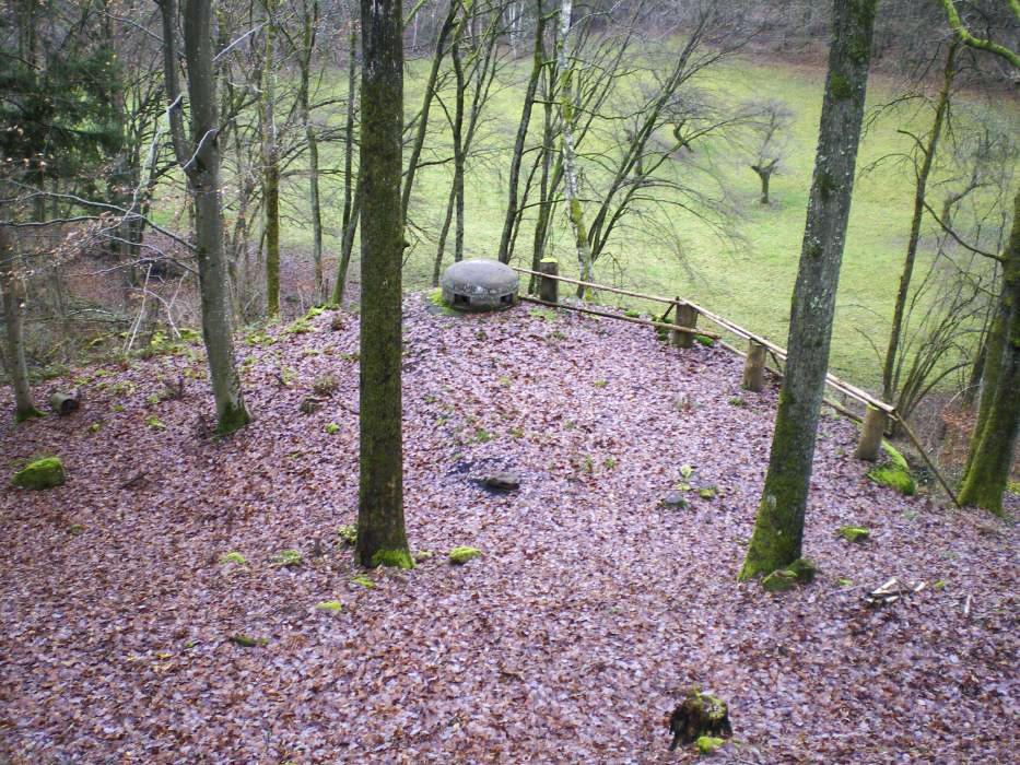 Ligne Maginot - GUNSTHAL FERME OUEST - (Blockhaus pour arme infanterie) - La cloche GFM surplombant le vallon de Guensthal - donceuh