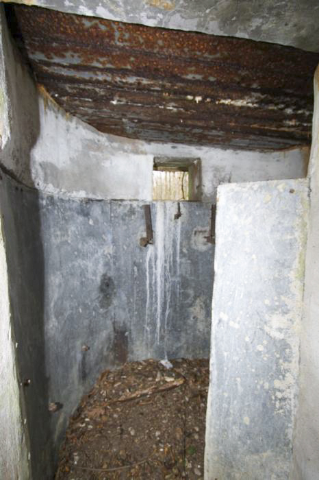 Ligne Maginot - LILIENFELD NORD - (Blockhaus pour arme infanterie) -  - Les Gardiens du Rhin