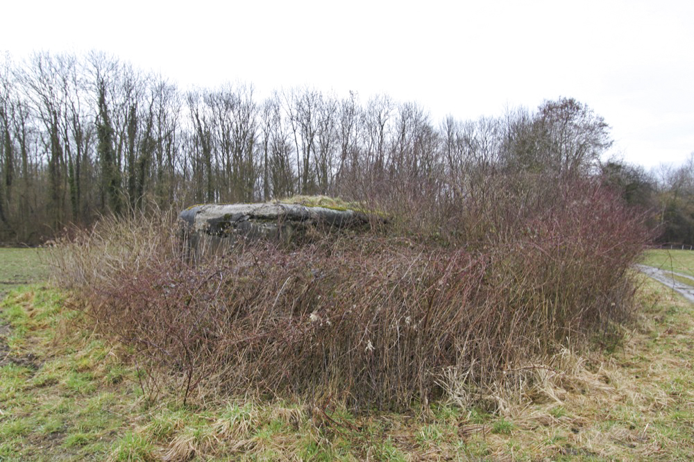 Ligne Maginot - LILIENFELD SUD - (Blockhaus pour arme infanterie) -  - Les Gardiens du Rhin