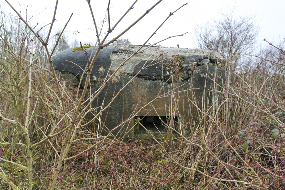 Ligne Maginot - LILIENFELD SUD - (Blockhaus pour arme infanterie) -  - Les Gardiens du Rhin