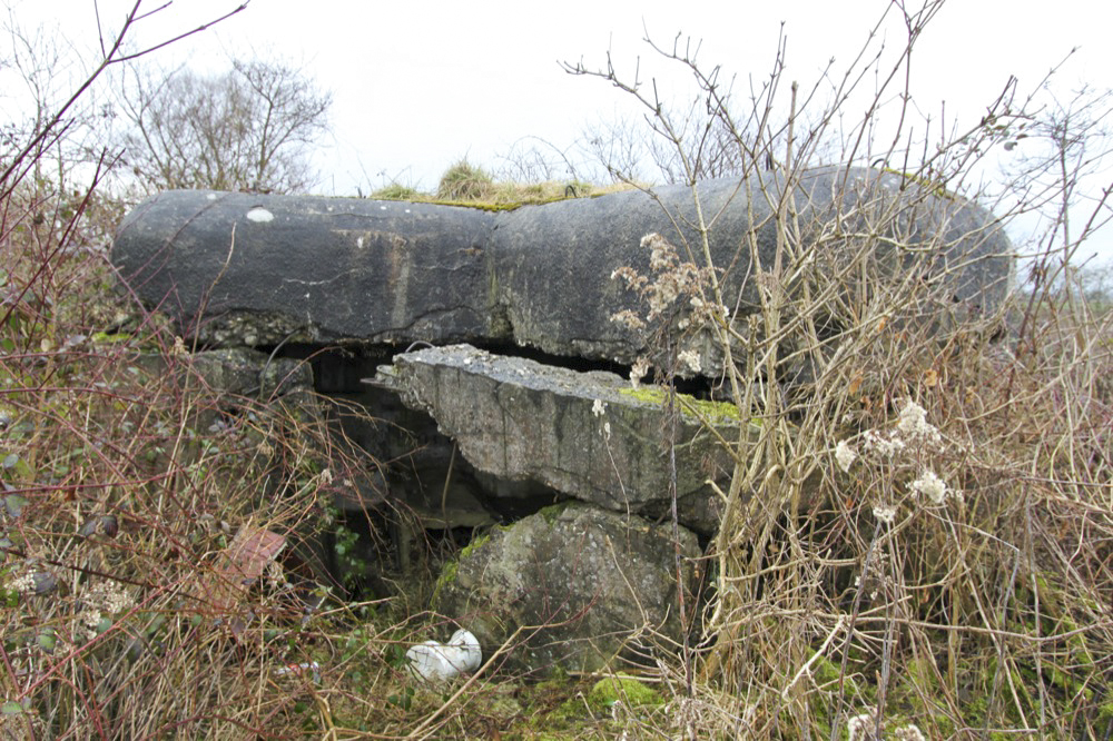 Ligne Maginot - LILIENFELD SUD - (Blockhaus pour arme infanterie) -  - Les Gardiens du Rhin