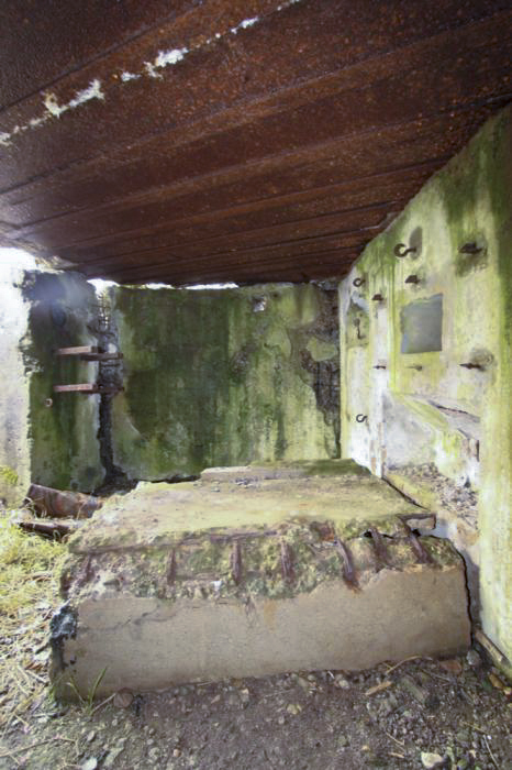 Ligne Maginot - LILIENFELD SUD - (Blockhaus pour arme infanterie) -  - Les Gardiens du Rhin