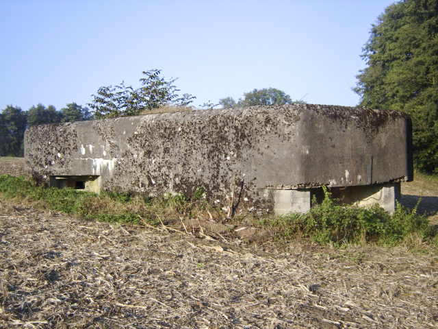Ligne Maginot - LOECHEL - (Blockhaus pour canon) -  - Patrick KRETTNICH
