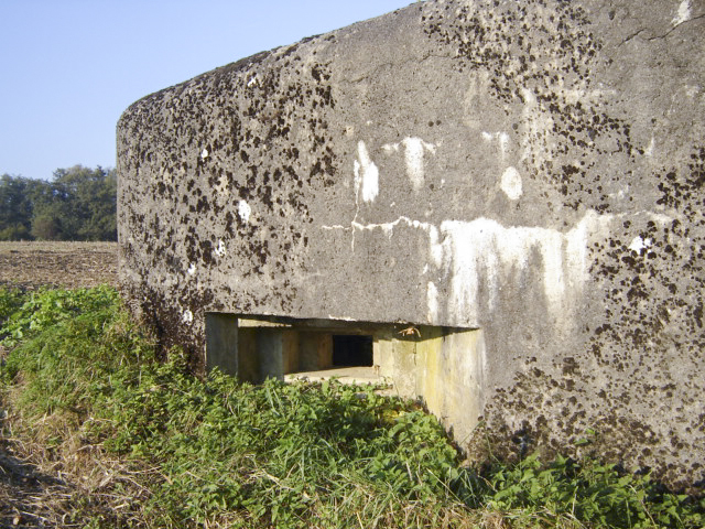 Ligne Maginot - LOECHEL - (Blockhaus pour canon) -  - Patrick KRETTNICH