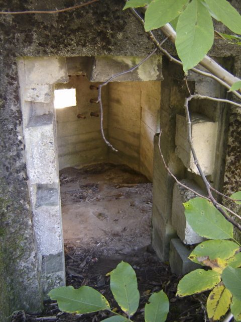 Ligne Maginot - LOECHEL - (Blockhaus pour canon) -  - Patrick KRETTNICH