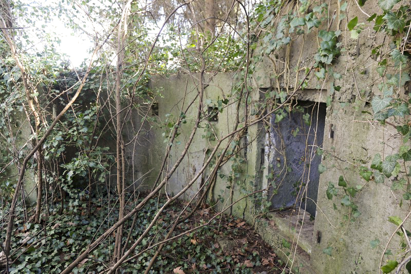 Ligne Maginot - 18 - MOULIN DE LA WANTZENAU - (Blockhaus pour arme infanterie) - L'entrée du blockhaus et la partie gauche de l'extension à ciel ouvert - Alain Perouffe