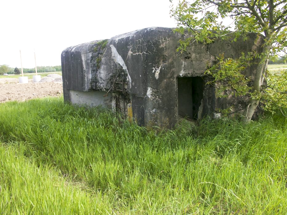 Ligne Maginot - NEUFELD (Blockhaus pour arme infanterie) - Vue d'ensemble - Pascal LAMBERT