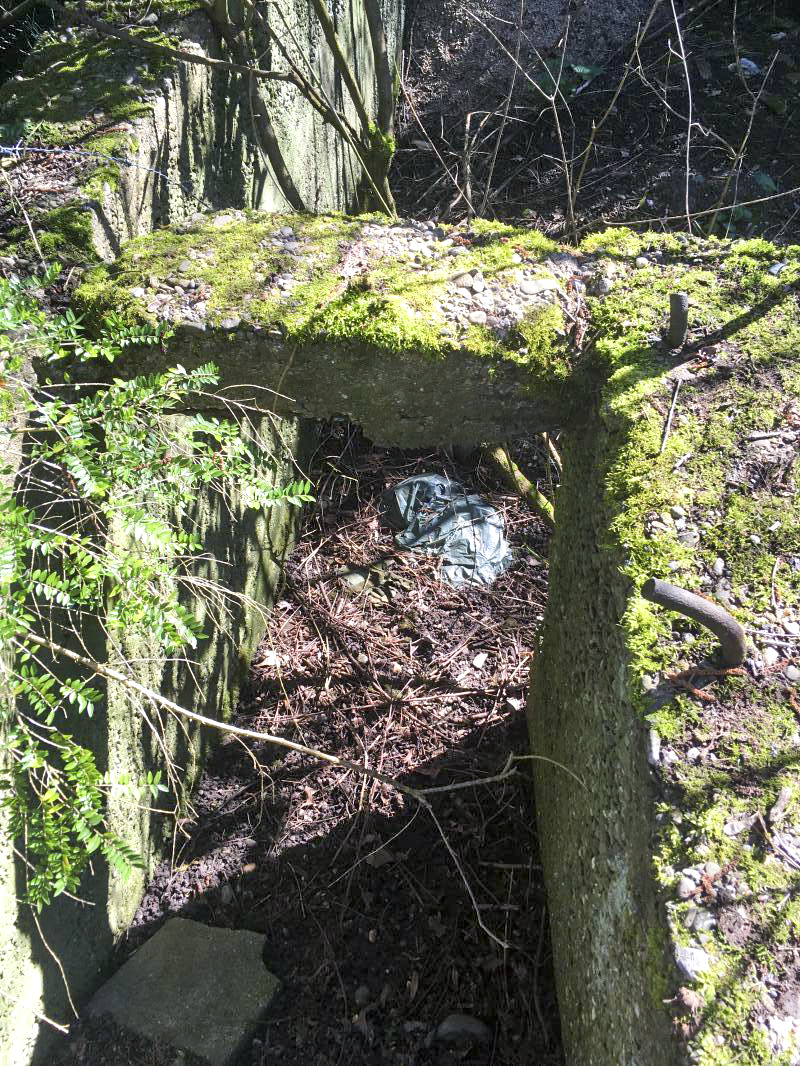 Ligne Maginot - OFFENDORF NORD - (Abri) - Photo de l'entrée depuis l'extérieur de l'abri. - SIEGEL Nicolas