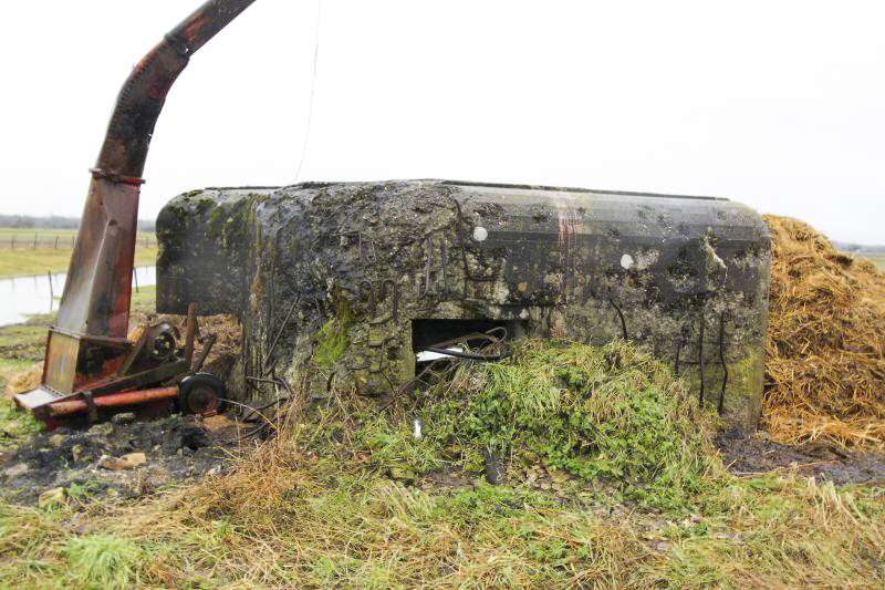 Ligne Maginot - RETTELEN - (Blockhaus pour arme infanterie) -  - Les Gardiens du Rhin