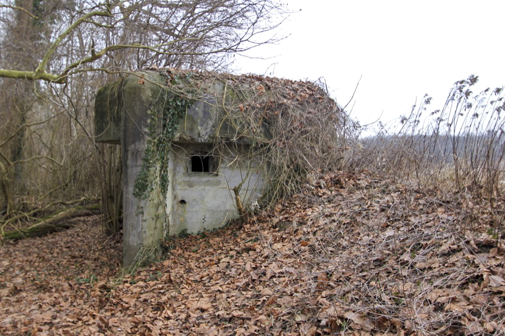 Ligne Maginot - ROHRKOPF SUD - (Blockhaus pour arme infanterie) -  - A. SCHOEN