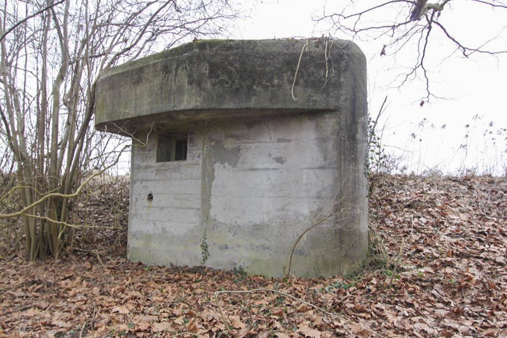 Ligne Maginot - ROHRKOPF SUD - (Blockhaus pour arme infanterie) -  - A. SCHOEN