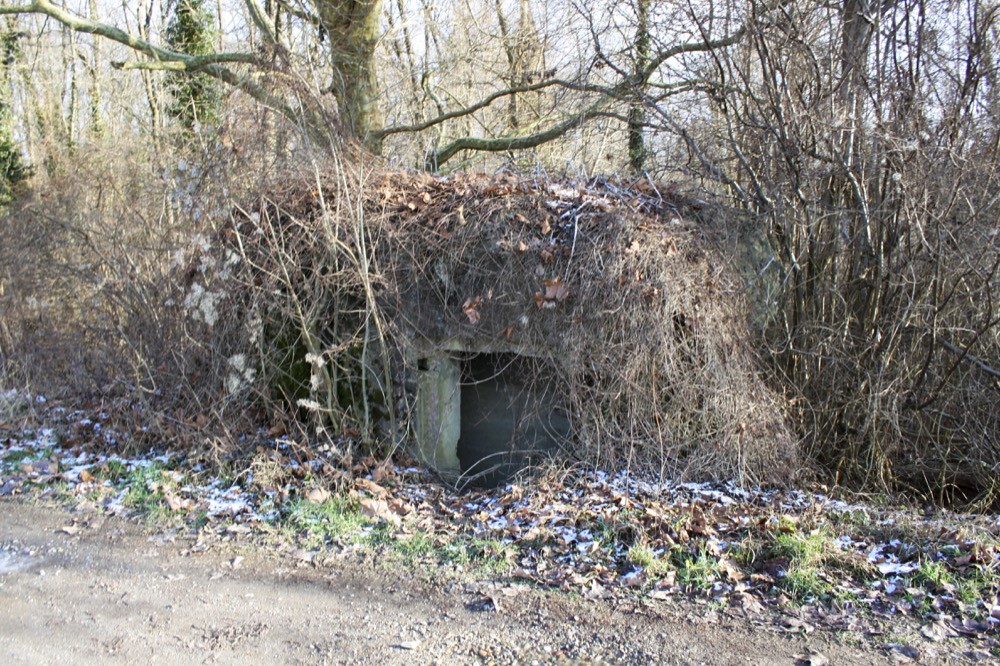 Ligne Maginot - ROHRKOPF SUD - (Blockhaus pour arme infanterie) -  - A. SCHOEN