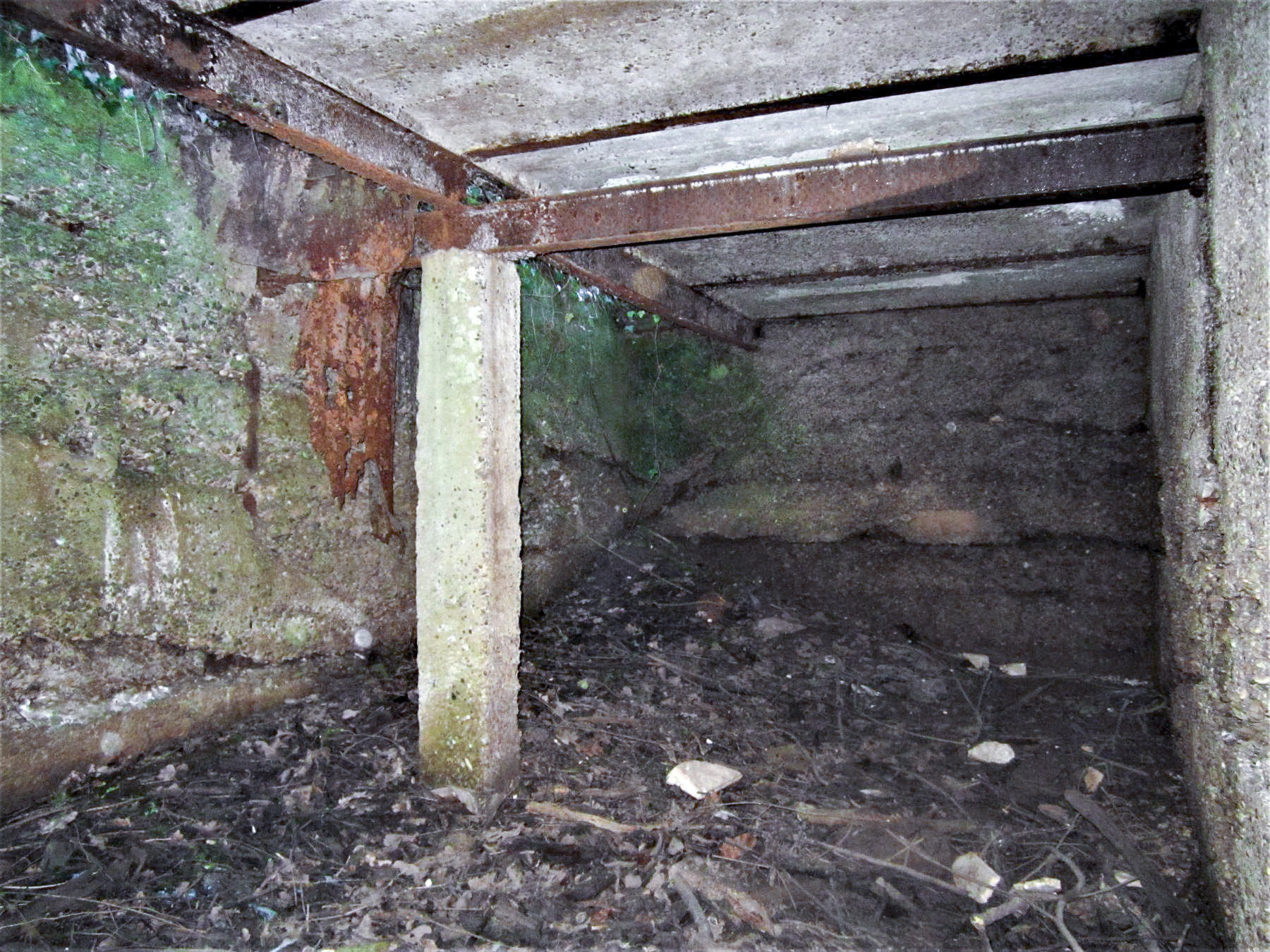 Ligne Maginot - WOERTH - (Stand de tir) - l'abri des marqueurs - Gregory Fuchs