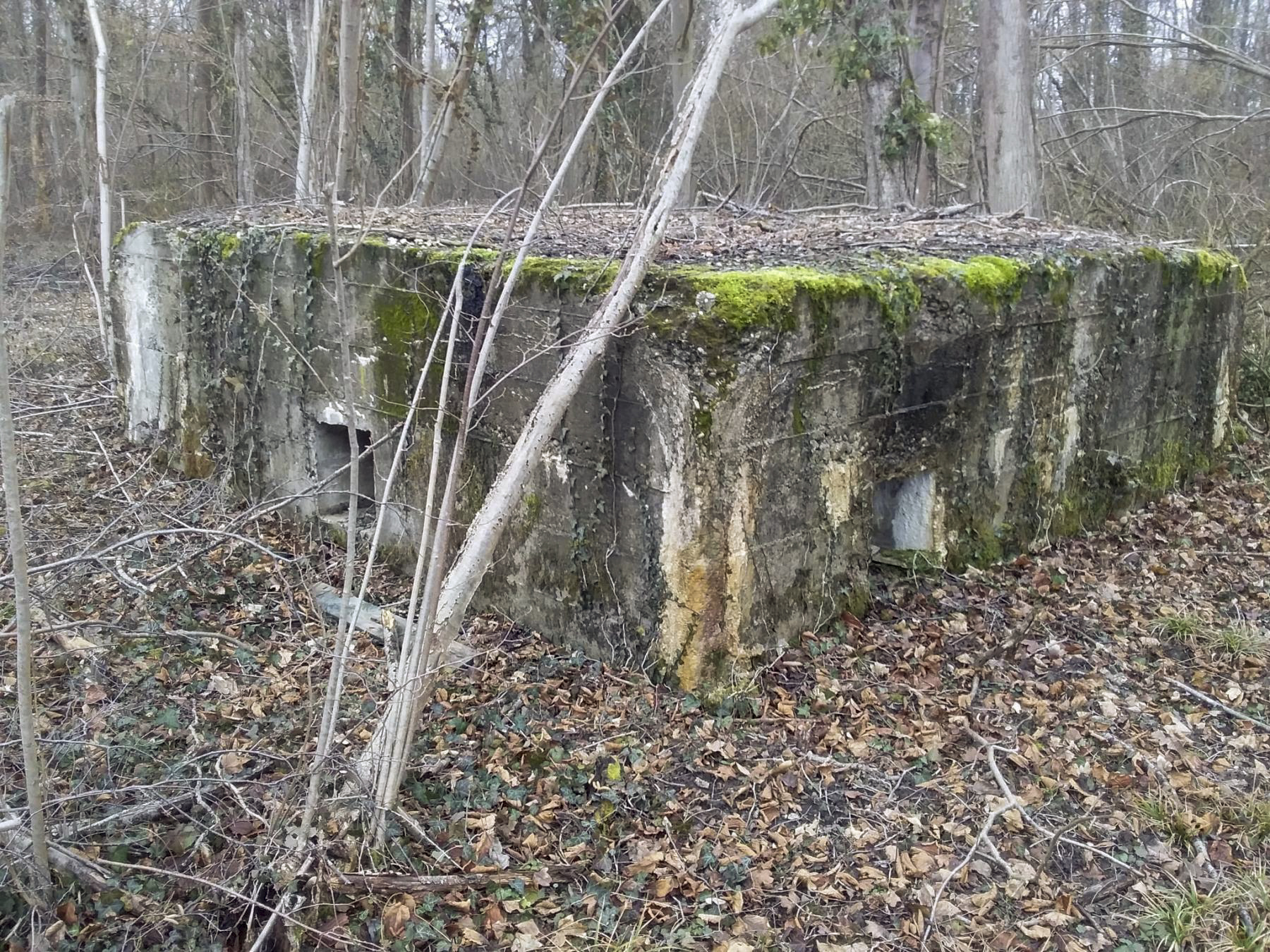 Ligne Maginot - BOIS D'ARTZENHEIM 2 - (PC) -  - Joel Muntzinger