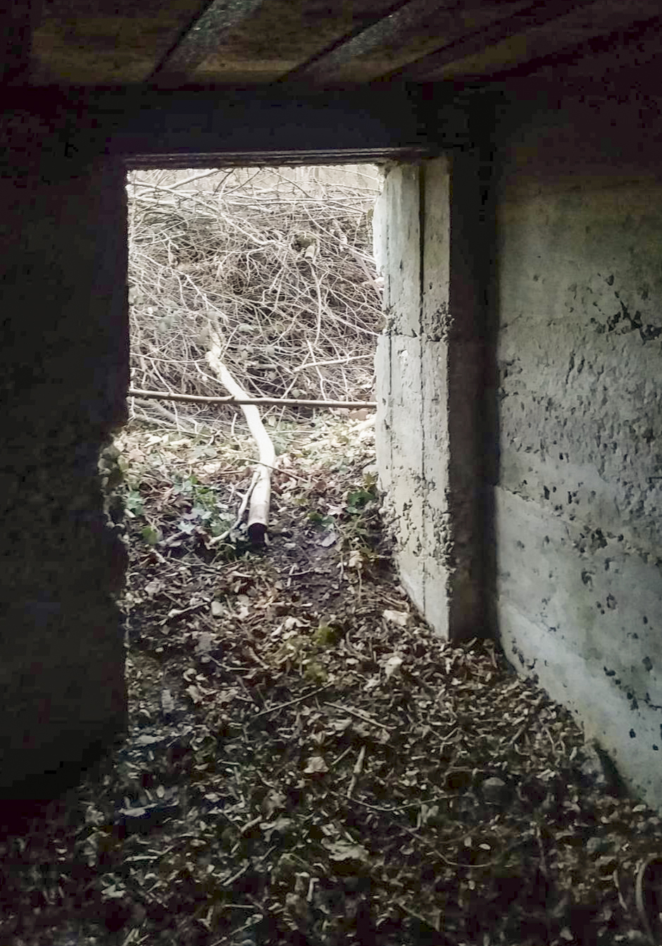 Ligne Maginot - BOIS D'ARTZENHEIM 2 - (PC) -  - Joel Muntzinger