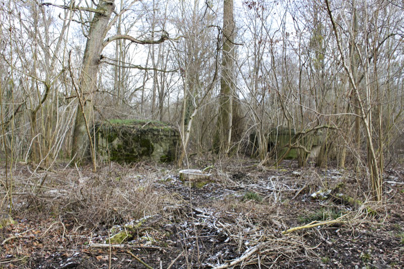 Ligne Maginot - ROSSMOERDER SUD EST - (Blockhaus pour arme infanterie) - Le blockhaus et l'abri voisin - Les Gardiens du Rhin
