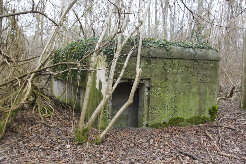 Ligne Maginot - ROSSMOERDER SUD EST - (Blockhaus pour arme infanterie) -  - Les Gardiens du Rhin