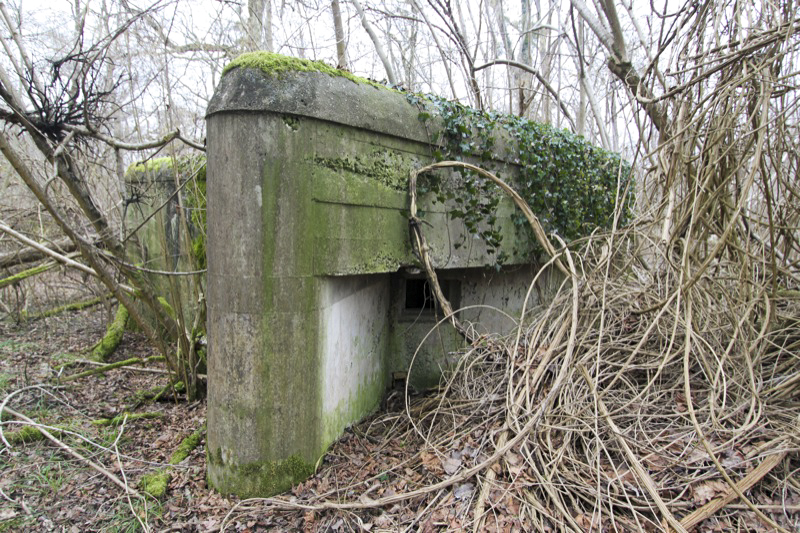 Ligne Maginot - ROSSMOERDER SUD EST - (Blockhaus pour arme infanterie) -  - Les Gardiens du Rhin
