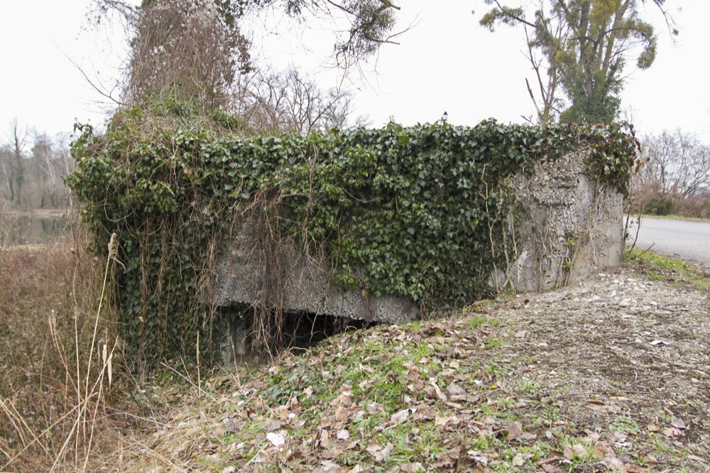 Ligne Maginot - SCHWANG - (Blockhaus pour arme infanterie) -  - Les Gardiens du Rhin