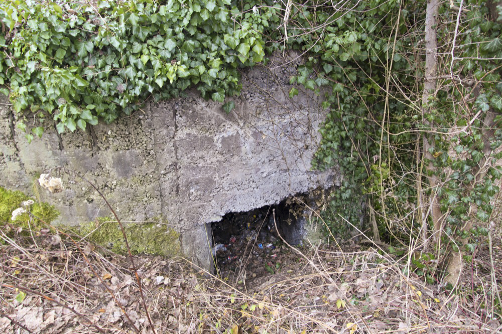 Ligne Maginot - SCHWANG - (Blockhaus pour arme infanterie) -  - Les Gardiens du Rhin