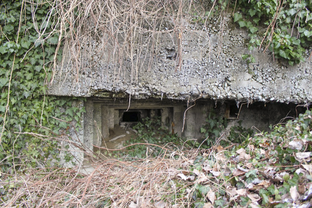 Ligne Maginot - SCHWANG - (Blockhaus pour arme infanterie) -  - Les Gardiens du Rhin