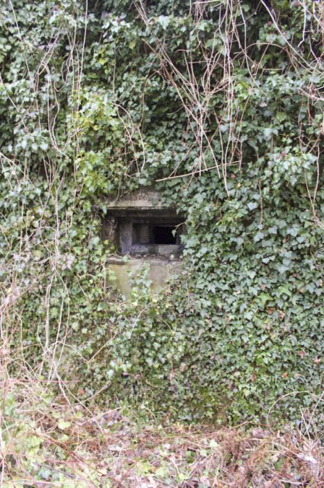 Ligne Maginot - SCHWANG - (Blockhaus pour arme infanterie) - Vue extérieure d'un des créneaux - Les Gardiens du Rhin