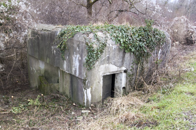 Ligne Maginot - SCHWARZLACH 2 - (Blockhaus pour arme infanterie) -  - Les Gardiens du Rhin
