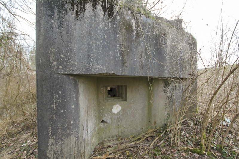 Ligne Maginot - SCHWARZLACH 4 (Blockhaus pour arme infanterie) -  - Les Gardiens du Rhin