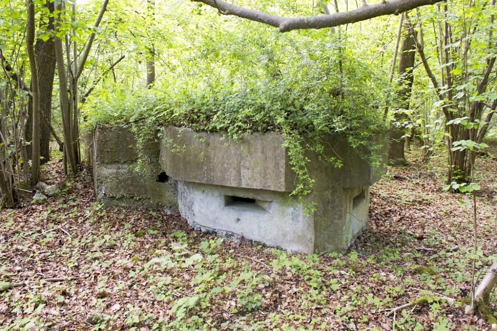 Ligne Maginot - 12 - WANTZENAU DIGUE 1 - (Blockhaus pour arme infanterie) -  - Aurélien EBEL