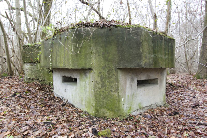 Ligne Maginot - 12 - WANTZENAU DIGUE 1 - (Blockhaus pour arme infanterie) -  - A. SCHOEN