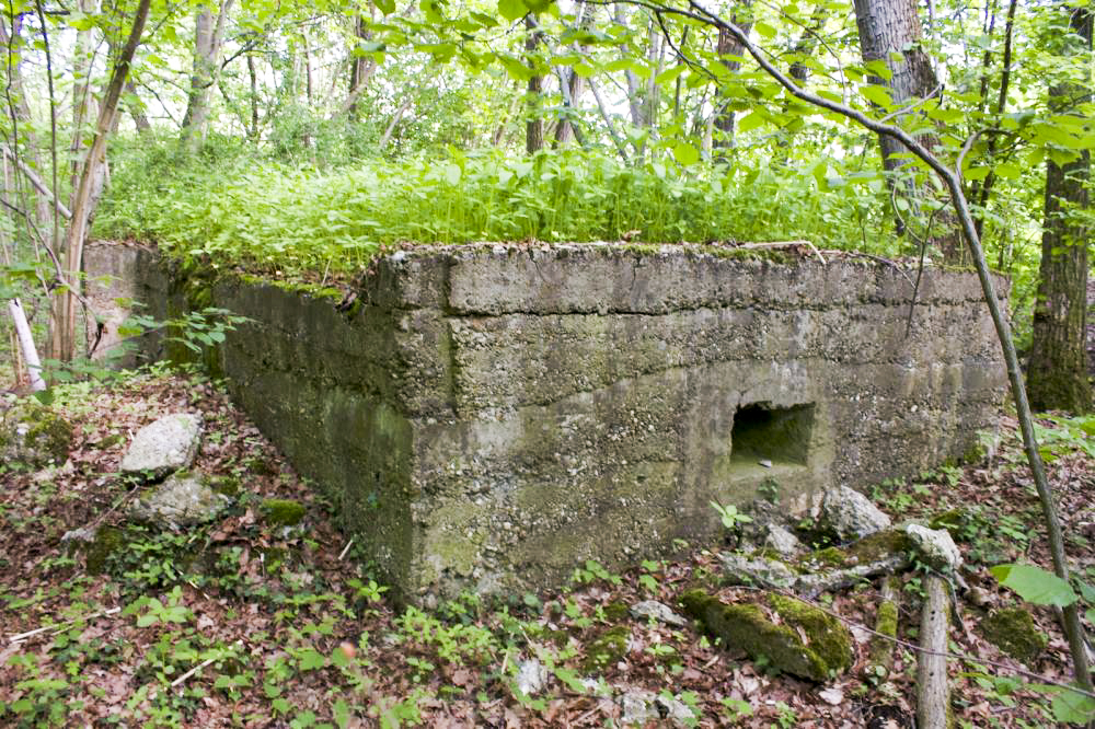 Ligne Maginot - 12 - WANTZENAU DIGUE 1 - (Blockhaus pour arme infanterie) -  - Aurélien EBEL