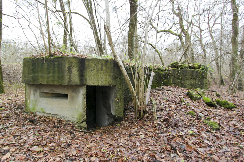 Ligne Maginot - 12 - WANTZENAU DIGUE 1 - (Blockhaus pour arme infanterie) -  - A. SCHOEN