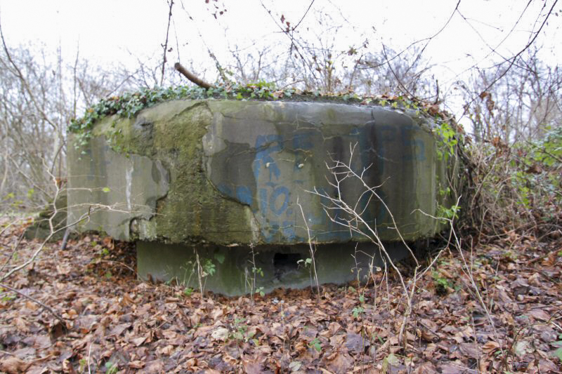 Ligne Maginot - WANTZENAU DIGUE 2 (Blockhaus pour arme infanterie) -  - Les Gardiens du Rhin