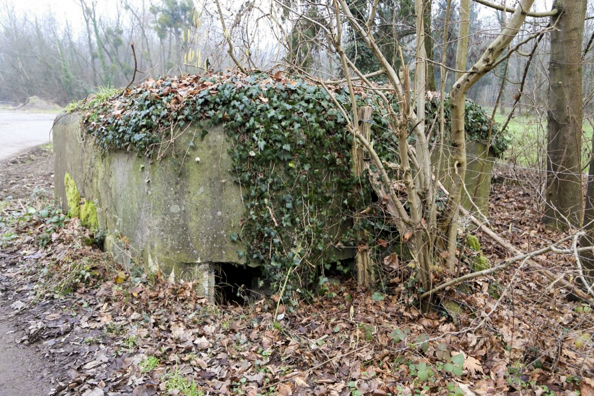 Ligne Maginot - WANTZENAU DIGUE 2 - (Blockhaus pour arme infanterie) -  - A. SCHOEN