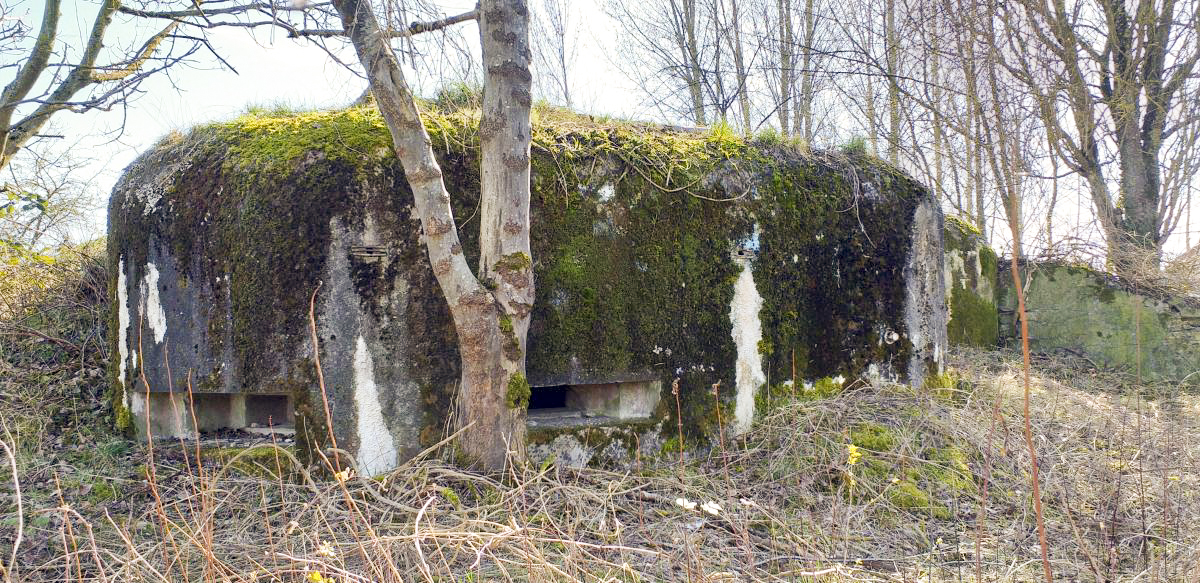 Ligne Maginot - WANTZENAU GARE - (PC) - Chambre de tir ouest pour 2 FM - Les Gardiens du Rhin