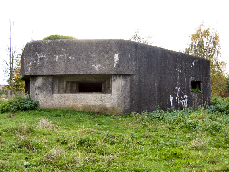 Ligne Maginot - WERB (Blockhaus pour canon) -  - Les Gardiens du Rhin