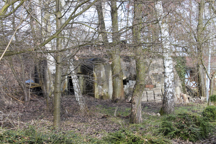 Ligne Maginot - WEYERSHEIM Nord - (Blockhaus pour canon) -  - Patrick KRETTNICH