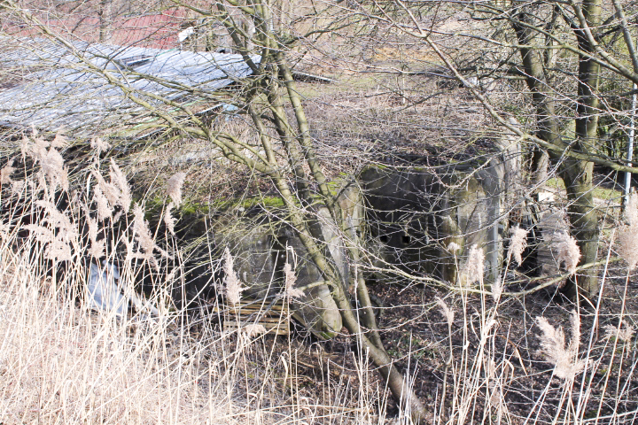 Ligne Maginot - WEYERSHEIM Nord - (Blockhaus pour canon) -  - Patrick KRETTNICH