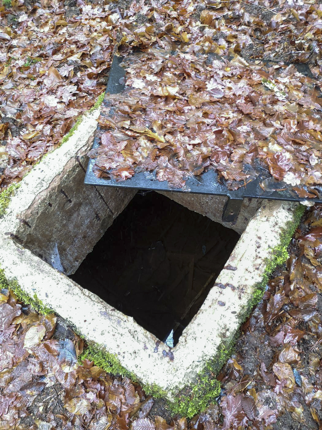 Ligne Maginot - BAERENTHAL - (Dépôt de Munitions) - Le site dispose d'au moins 3 citernes (en cas d'incendie ?). - Association des Amis de la Fortification des Vosges du Nord
