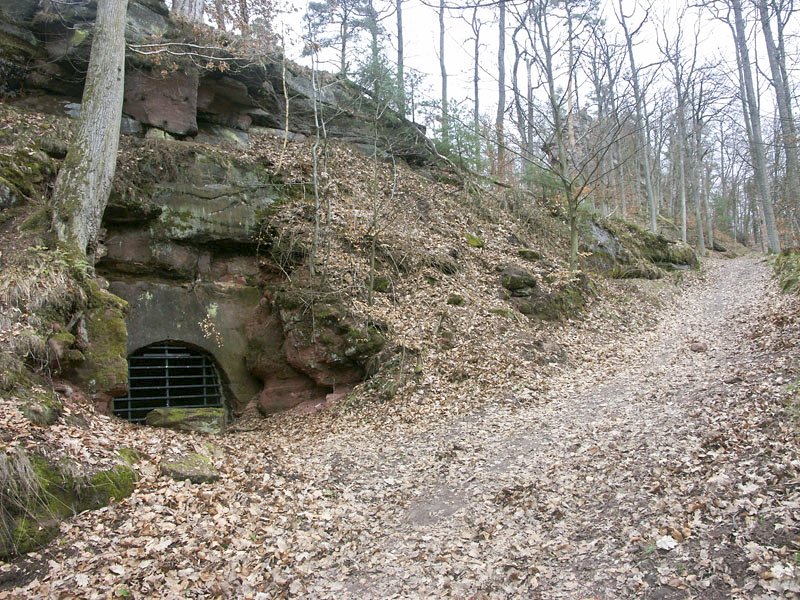 Ligne Maginot - BAERENTHAL (SF Vosges) (PC de Secteur) -  - Pascal LAMBERT
