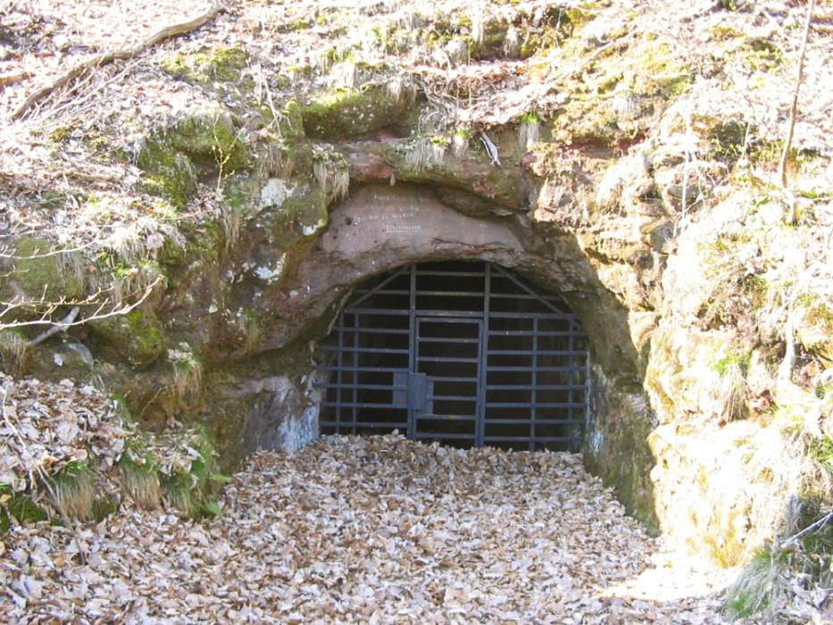 Ligne Maginot - BAERENTHAL (SF Vosges) (PC de Secteur) -  - Antoine SCHOEN