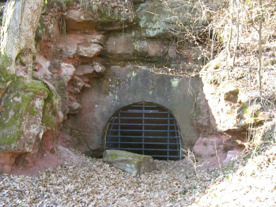 Ligne Maginot - BAERENTHAL (SF Vosges) (PC de Secteur) -  - Antoine SCHOEN