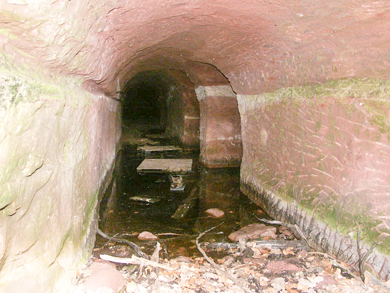 Ligne Maginot - BAERENTHAL (SF Vosges) (PC de Secteur) -  - Pascal LAMBERT