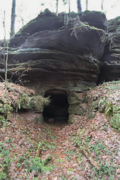 Ligne Maginot - INGWILLER - GEBIRGSWALD (RFL ET/OU 43° CAF) - (PC de Région Fortifiée) - Une des entrées de l'abri caverne - Antoine SCHOEN