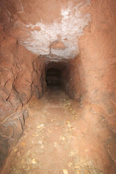 Ligne Maginot - INGWILLER - GEBIRGSWALD (RFL ET/OU 43° CAF) - (PC de Région Fortifiée) - Galerie transversale - Antoine SCHOEN