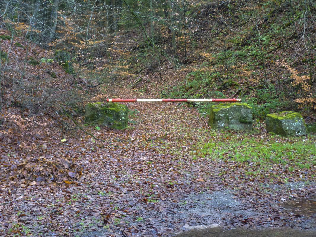 Ligne Maginot - INGWILLER - GEBIRGSWALD (RFL ET/OU 43° CAF) - (PC de Région Fortifiée) - Ancien accès - Aditus
